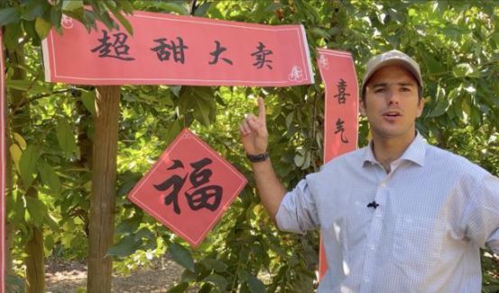 果品季连续7年称霸春节智利车厘子错峰“上位”史(图7)