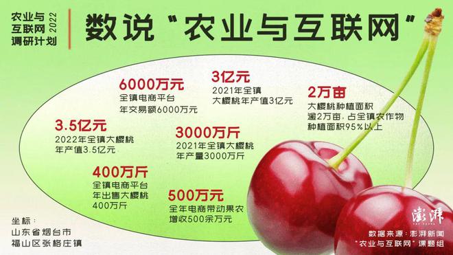 果品季连续7年称霸春节智利车厘子错峰“上位”史(图14)