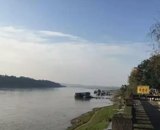 开云电竞入口:传承百年“素火腿”！满满植物蛋白豆香浓郁好吃不胖(图8)
