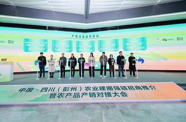 开云电竞:“好蔬菜从彭州出发”菜博会带领彭州蔬菜走向全球(图6)