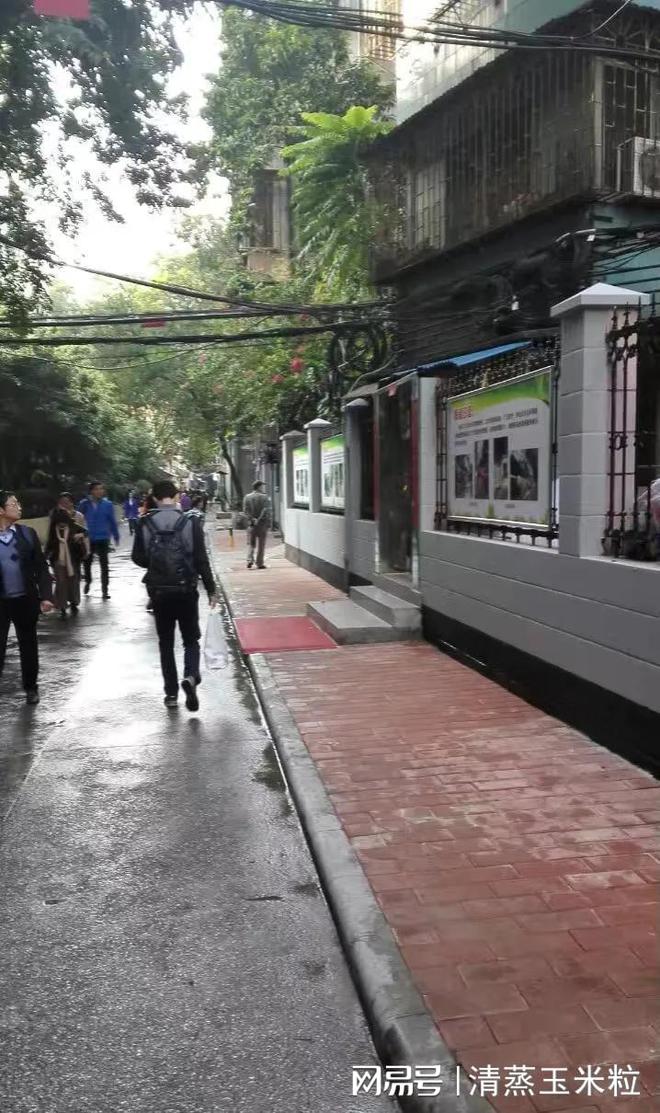 开云电竞:一间陪伴广州市中心一条老街30年的牛杂档(图3)