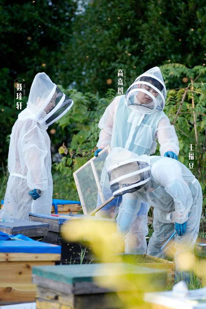 开云电竞:《追花两万里》：赴一趟共生共惠的自然之旅(图2)