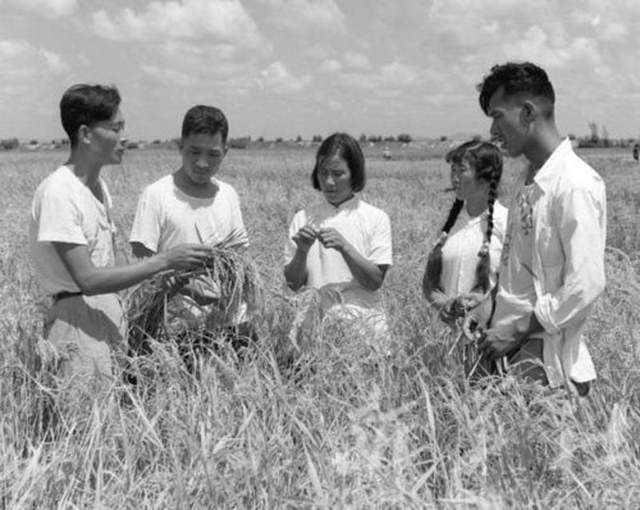 开云电竞网站:安徽省1960年(图8)