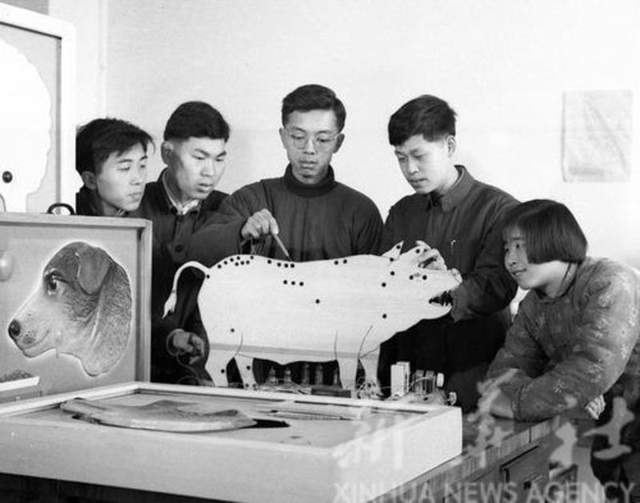开云电竞网站:安徽省1960年(图10)