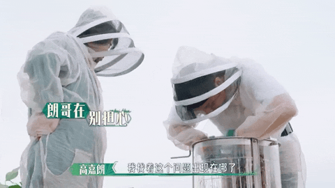 开云电竞:从蜂箱看人与自然《追花两万里》如何把答案都写在路上(图6)