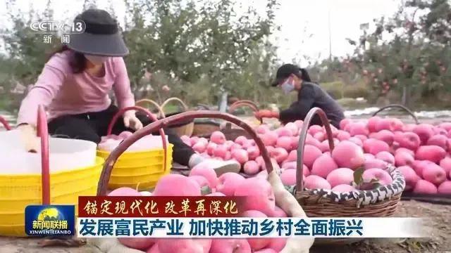 开云电竞app:让土特产“从头甜到尾”各地全力发展富民产业(图4)