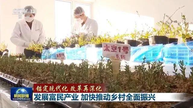 开云电竞app:让土特产“从头甜到尾”各地全力发展富民产业(图6)