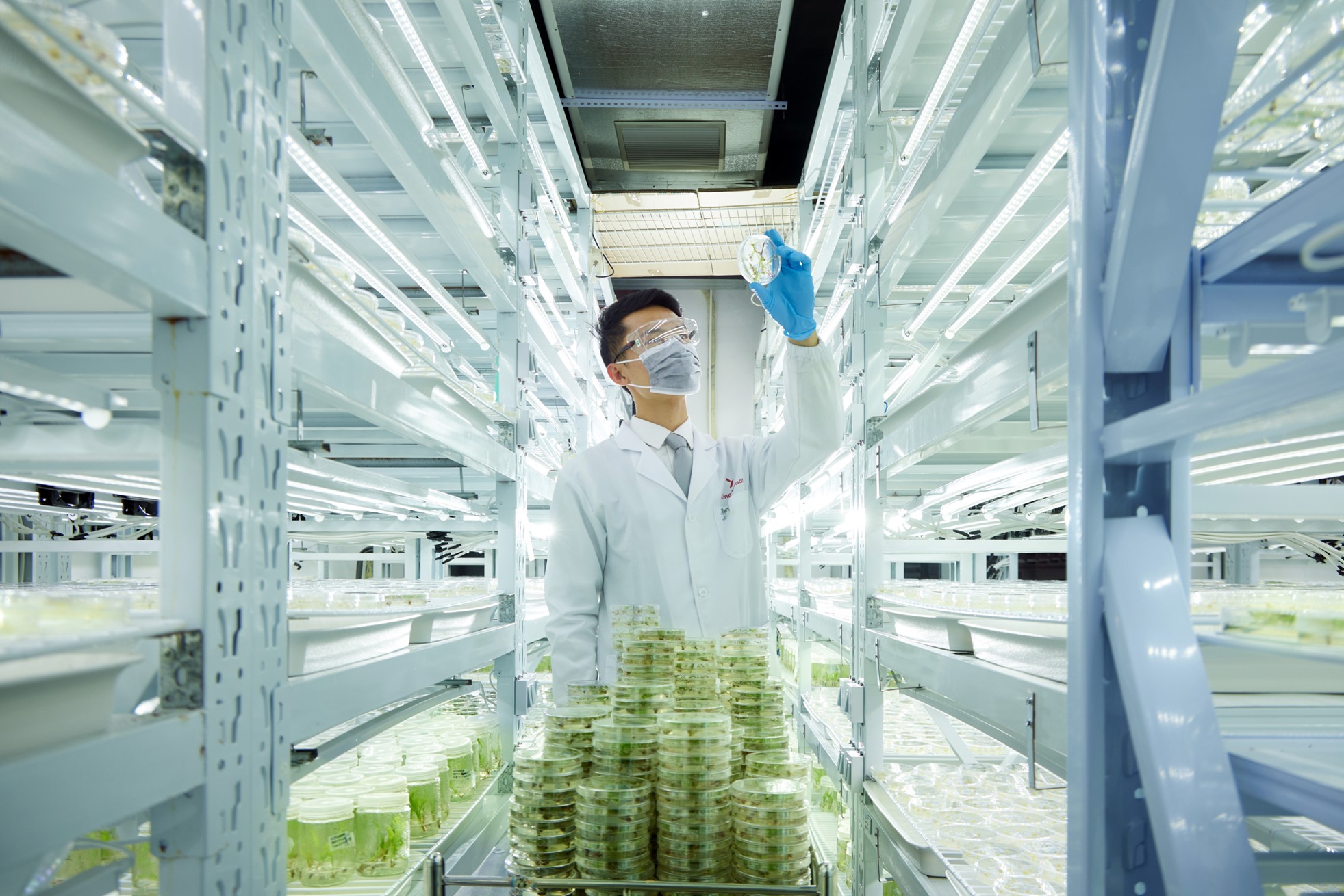开云电竞网站:清原作物科学:从除草剂专家到全球农业科技创新者的蜕变(图2)