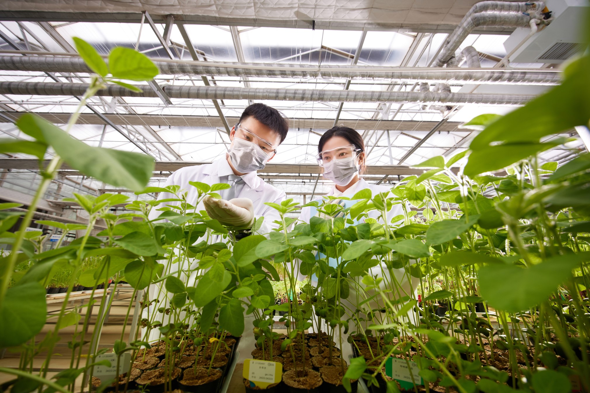 开云电竞网站:清原作物科学:从除草剂专家到全球农业科技创新者的蜕变(图4)