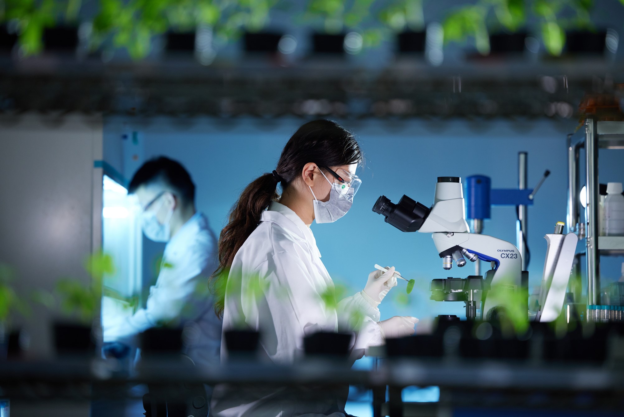 开云电竞网站:清原作物科学:从除草剂专家到全球农业科技创新者的蜕变(图3)