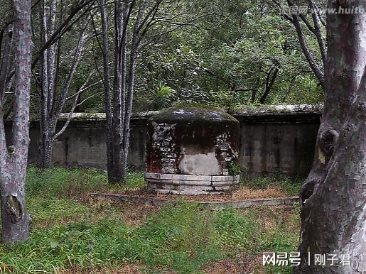 坟头边上的树木能不能砍老人说注意4点就能砍掉(图2)
