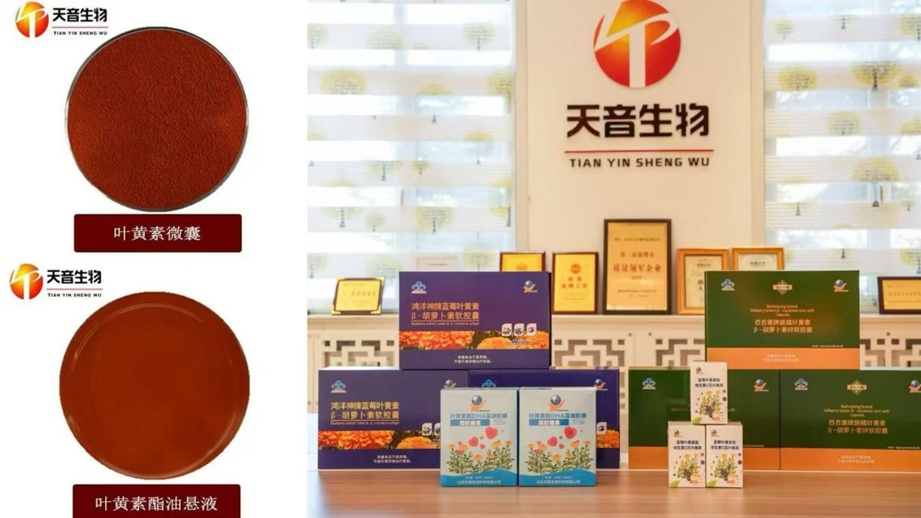 海岱财经|叶黄素“小巨人”天音生物的裂变发展之路(图2)