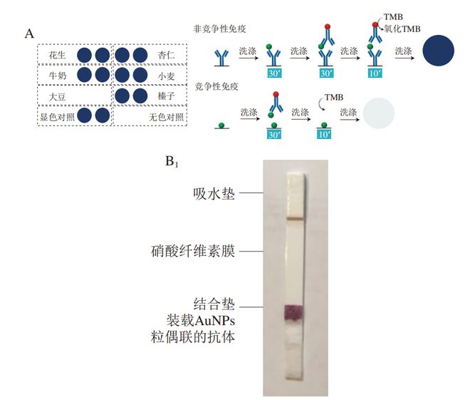 开云电竞app:《食品科学》：中国农业大学程楠副教授等：食品中麸质及其生物传感检测方法研究进展(图7)