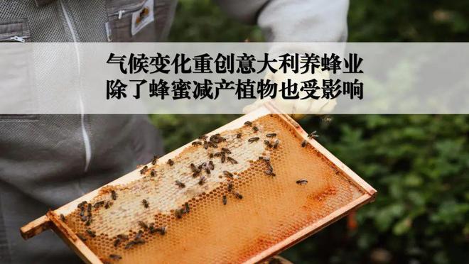 同声同气72气候变化每周速读手册(图7)