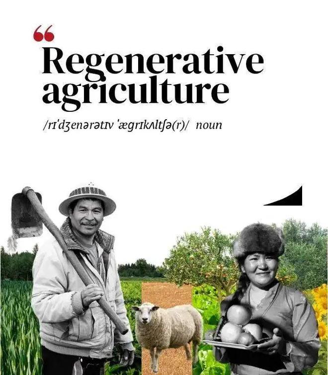 同声同气72气候变化每周速读手册(图11)