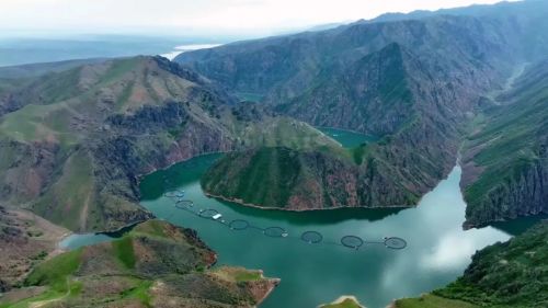 开云电竞:中国农业人均GDP为什么超越美国？(图4)