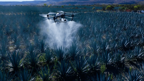 开云电竞:中国农业人均GDP为什么超越美国？(图3)