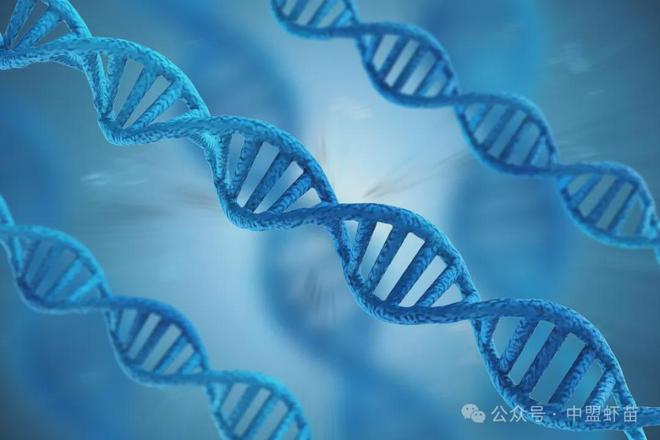 开云电竞入口:2025年哪些技术可以改变水产养殖领域？这四大方向需要重视！(图2)