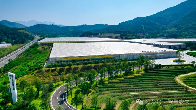 开云电竞网站:智慧大脑种地好city！广东这个番茄工厂不一般年产番茄超2400吨！(图5)