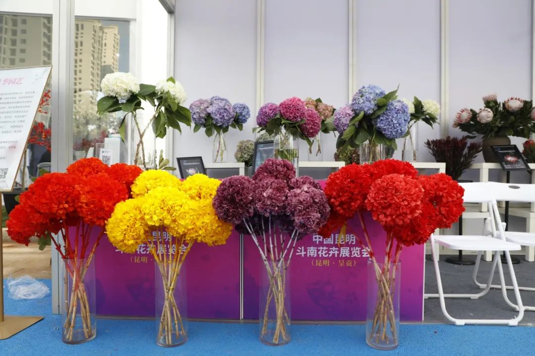 2024中国昆明斗南花卉展览会让鲜花经济活力绽放让斗南鲜花香飘世界(图5)