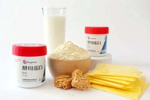 开云电竞:酵母蛋白：安琪重磅推出“首发经济”(图3)