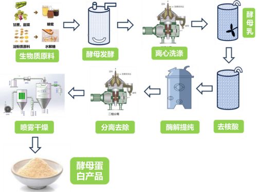 开云电竞:酵母蛋白：安琪重磅推出“首发经济”(图4)