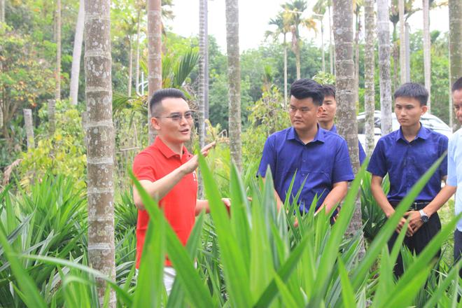 开云电竞入口:卖“草”发家的海南小伙:仅用4年年入4000万带1千户农民致富(图6)