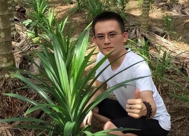 开云电竞入口:卖“草”发家的海南小伙:仅用4年年入4000万带1千户农民致富(图12)