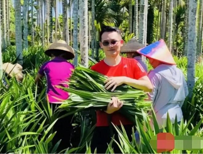 开云电竞入口:卖“草”发家的海南小伙:仅用4年年入4000万带1千户农民致富(图15)