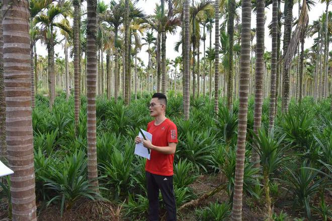 开云电竞入口:卖“草”发家的海南小伙:仅用4年年入4000万带1千户农民致富(图16)