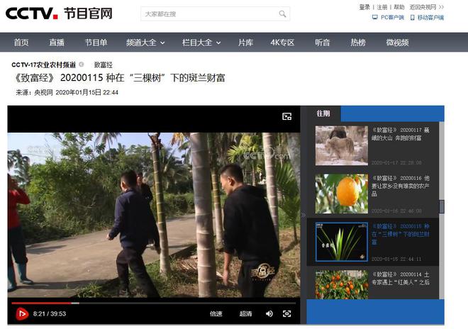 开云电竞入口:卖“草”发家的海南小伙:仅用4年年入4000万带1千户农民致富(图18)