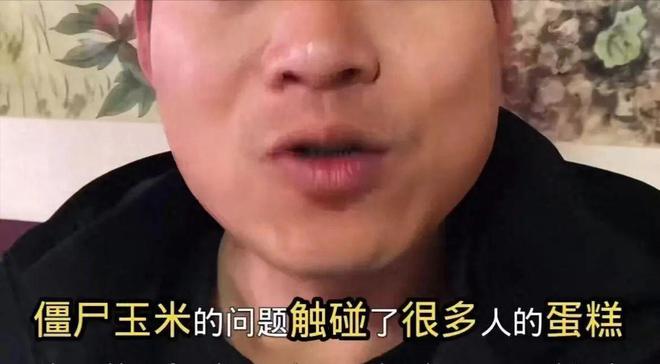 开云电竞“僵尸玉米”背后的食品安全危机黑幕曝光令人愤怒(图3)