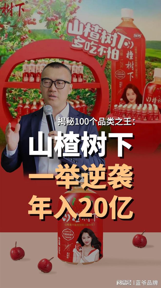 蓝爷说品牌：山楂树下年入20亿看老品类是如何突围的