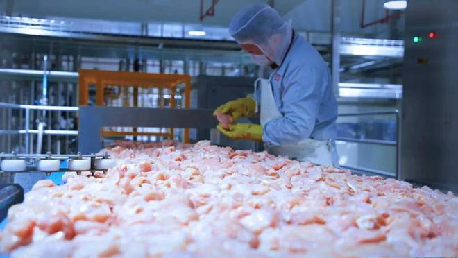 开云电竞入口:38岁下海他捧出市值300亿巨头“霸榜”类目第一(图2)