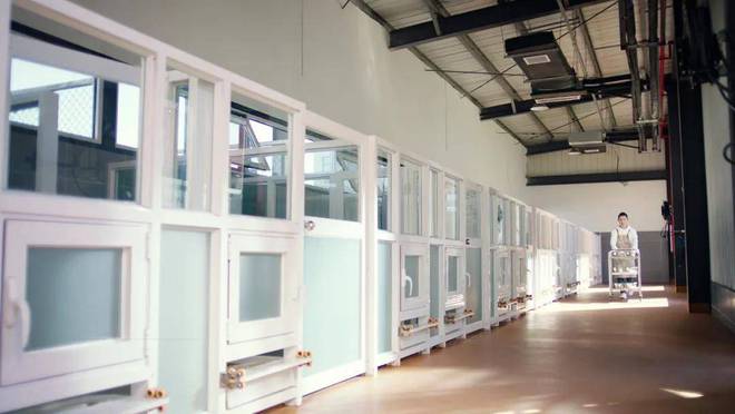 开云电竞入口:38岁下海他捧出市值300亿巨头“霸榜”类目第一(图5)