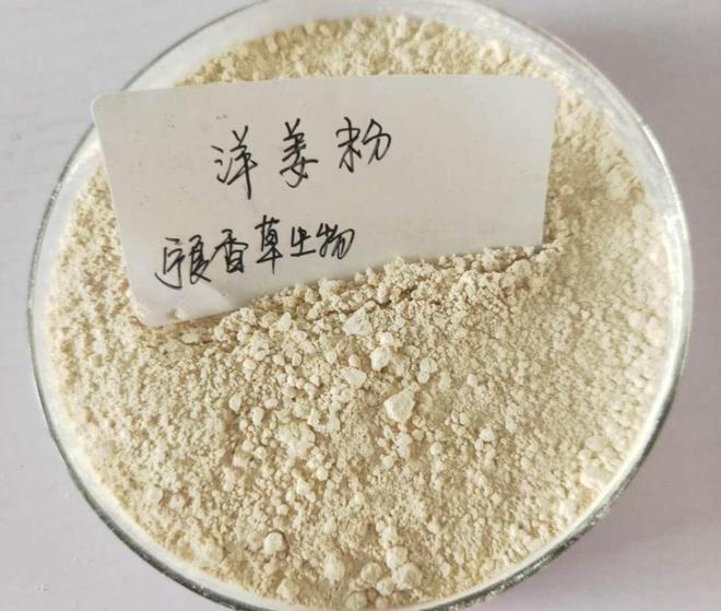 开云电竞欧美花50万难根除！到了中国成农民“致富经”入药又当菜！(图5)