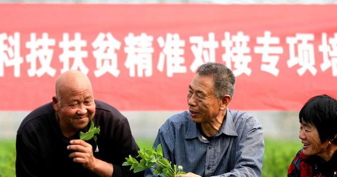 开云电竞欧美花50万难根除！到了中国成农民“致富经”入药又当菜！(图11)