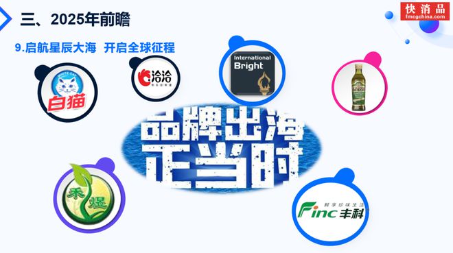 开云电竞:【独家】东方快消品中心：2025中国快消品产业发展趋势(图15)