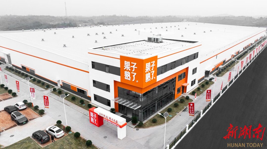 开云电竞app:果子熟了全国首个自建工厂在株投产(图2)