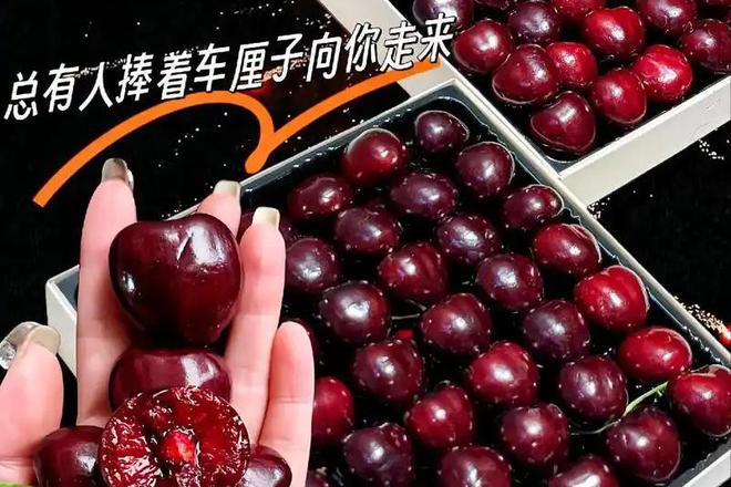 美国、智利、加拿大的车开云电竞厘子海运一个月才到中国为啥不会腐烂(图19)