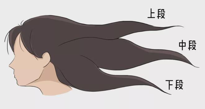 开云电竞入口:30分钟轻松染发!梳个头就能get新发色有了它谁还去理发店(图6)