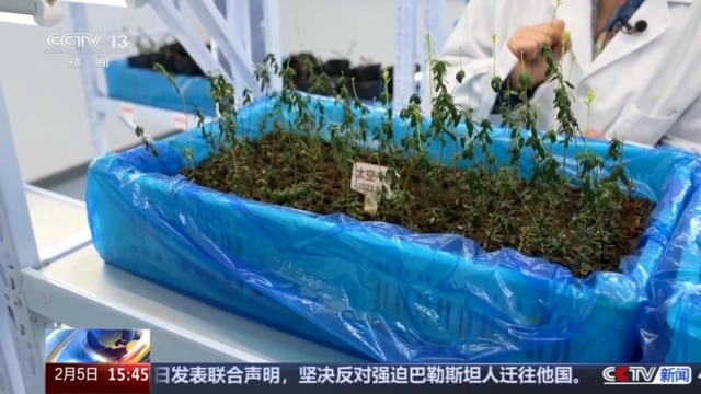 开云电竞网站:黑土地、黑科技、黑色资源一起了解亚冬会里的黑色密码(图7)
