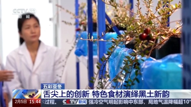 开云电竞网站:黑土地、黑科技、黑色资源一起了解亚冬会里的黑色密码(图6)