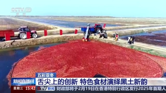 开云电竞网站:黑土地、黑科技、黑色资源一起了解亚冬会里的黑色密码(图4)