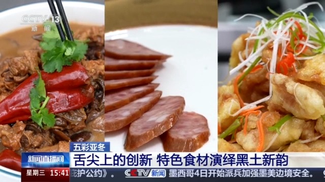 开云电竞网站:黑土地、黑科技、黑色资源一起了解亚冬会里的黑色密码(图3)
