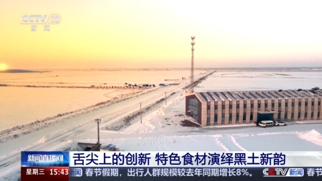 开云电竞网站:黑土地、黑科技、黑色资源一起了解亚冬会里的黑色密码(图5)