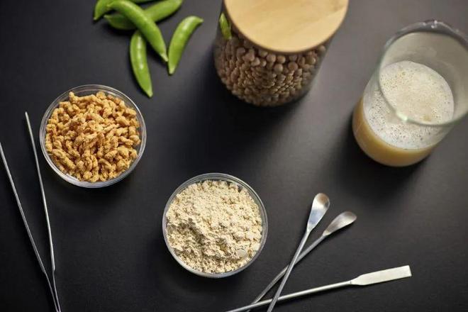 kaiyun开云电竞:蛋白质创新：多样化饮食、减肥需求以及未来技术推动产品研发(图2)