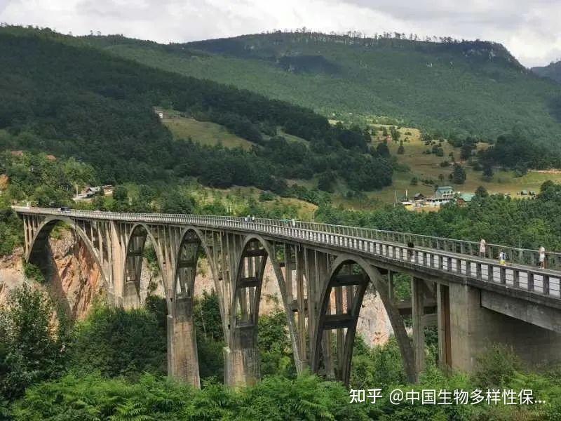 恢复自开云电竞然：欧洲对生态系统和生物多样性的承诺(图5)