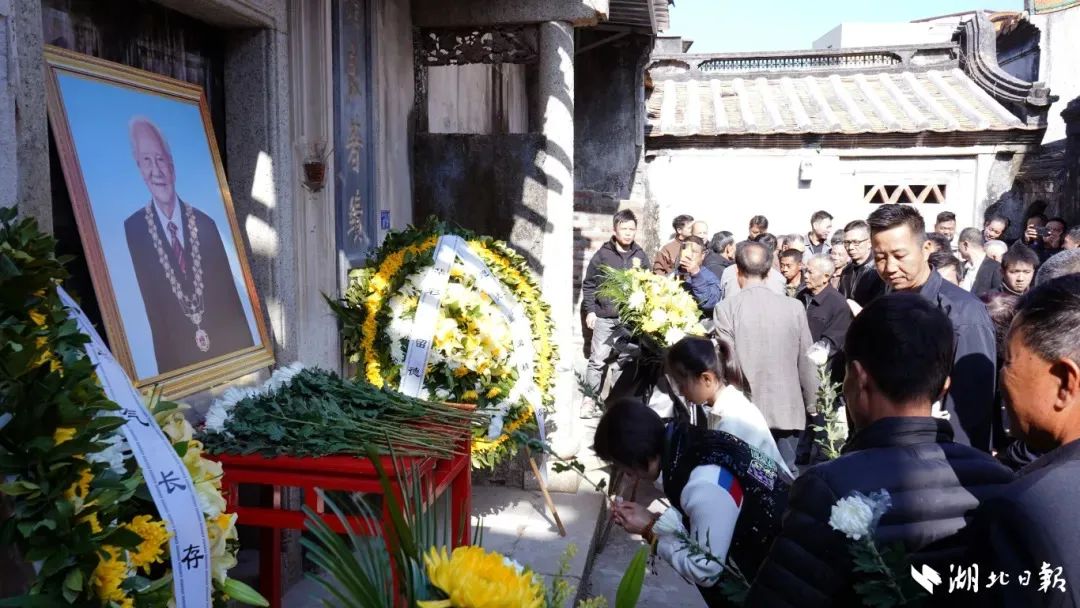 武汉的鲜花被抢光了(图5)