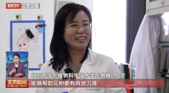 治理圆柏花粉北京使出“杀手锏”！(图4)
